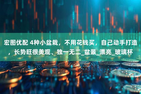 宏图优配 4种小盆栽，不用花钱买，自己动手打造，长势旺很美观、独一无二_盆景_漂亮_玻璃杯