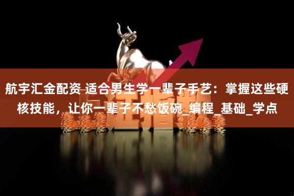 航宇汇金配资 适合男生学一辈子手艺:掌握这些硬核技能,让你一辈子不愁饭碗_编程_基础_学点